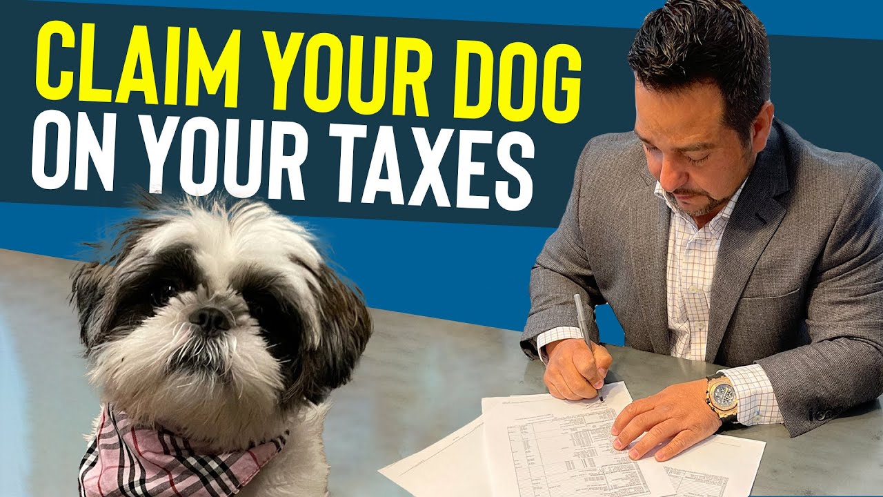 HOW TO WRITE OFF YOUR DOG ON YOUR TAXES!