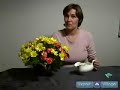 How to Create a Floral Centerpiece for Your Dining Table : Flower Care Tips for a Floral Centerpiece How to Create a Floral Centerpiece for Your Dining Table : Flower Care Tips for a Floral Centerpiece