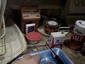 Mr. Moo eats sashimi