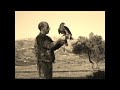 Reflexión #2..una historia.. El águila joven