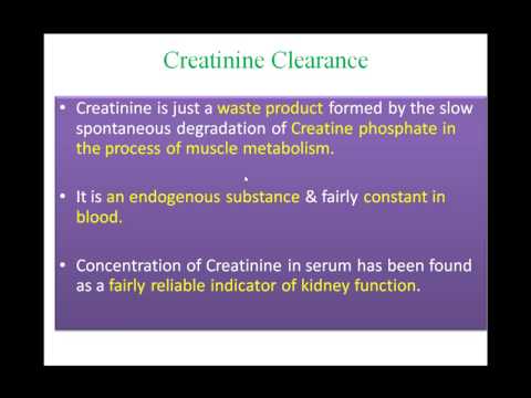 how to kidney function test