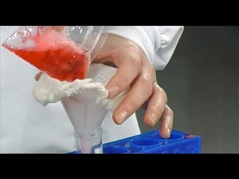how to isolate dna from a strawberry