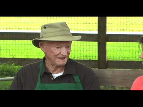 how to replant earthbox