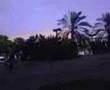 מספר אחת בדור ה 3 (1018071251.wmv) for October 18, 2007, 03:59 AM