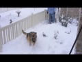 October 29, 2009 snow
