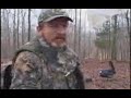Turkey Decoy Hunting Tips - Part III