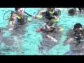 Tioman Island Resort in Pahang Malaysia - YouTube