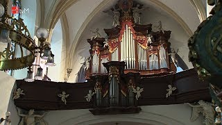 Letní varhanní koncert