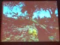 crysis ingame engine