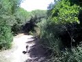 Roma - Pineta Castelfusano in bici