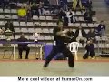 Kung Fu!