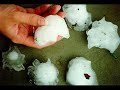 FITNA MOVIE OMG GEERT WILDERS!!!!@@
