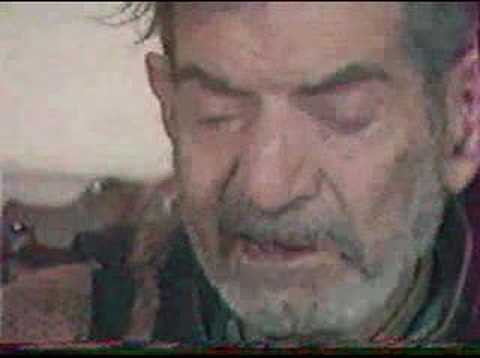 haydar