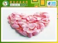 提交 網神 關於 Sat Apr 13 2013 在 10:14am