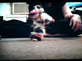 kitty strings kitty strings