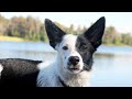 Kate Lake Trip - 6 months