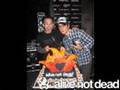alivenotdead.com Anniversary Party Media Reception