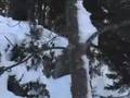 BJV Part Two