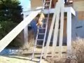 Hond klimt op ladder