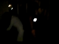 VID 00059-20091115-0401.3GP