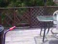 caleb breaking his leg jumping off the porch