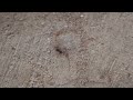Sony HDR-SR10 Ant shot