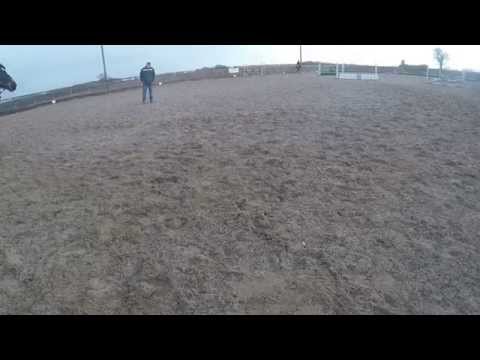 - Fallowfen Training Kennels - Fallowfen Training Kennels