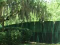 WDWs River Country Water Park, 07 June 2008, part 1