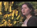 Moving Company Green Liner Commercial Part 2