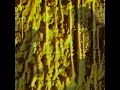 vid from the 80's
