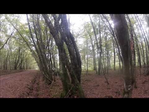 Battue - 