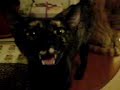 Smudgy talking,
