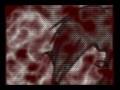 videos de Iris and Ashley-Ghostflowers
