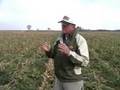 videos de Winter Grazing