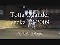 Träning v 48 Totta Organder