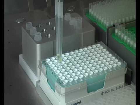 how to isolate salmonella from food