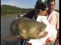 Pesca de surubi en Puerto Yeruá ER Argentina