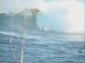 fin jaws.wmv