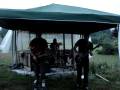 videos de steve concert
