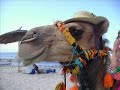 djerba