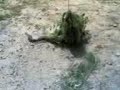 Python Captured