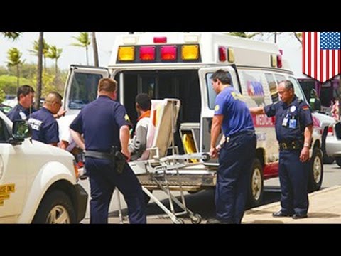 Stowaway survives California to Hawaii flight in plane's landing gear
