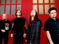 Element Eighty - Scars