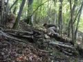Descente et Freeride � Choignes