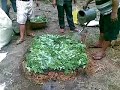 Luba, Abra - Organic Feeds and Fertilizer Seminar - Part 5