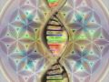 528 Hz  Alpha Binaural Beat  (listen with stereo headphones)
