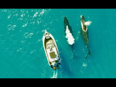 FISHING BIG IN THE SOLOMON ISLANDS | ESCAPE FISHING WITH ET