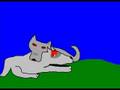 videos de keisirin tarina 6
