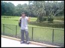 AbDoN Style