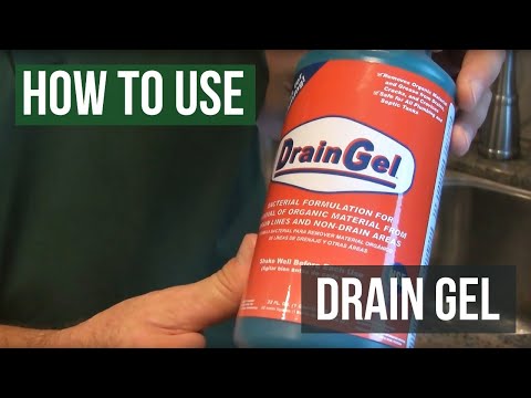 how to eradicate drain flies